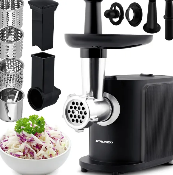 Berdsen BD-600