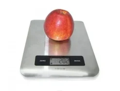Nerthus FIH 027